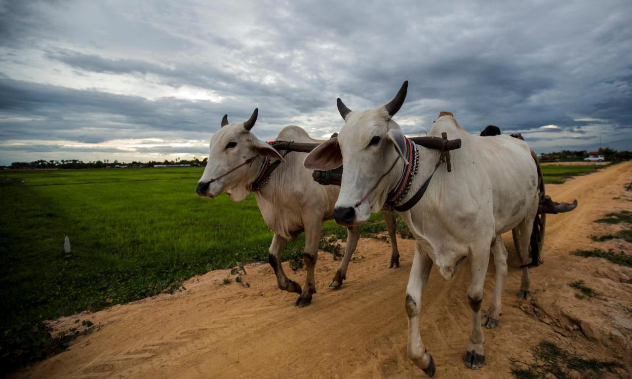 Madam Sokha Homesteading Siem Reap Dış mekan fotoğraf